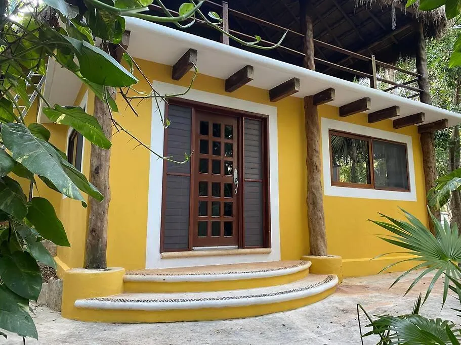 Vakantiehuis Jungle Oasis By The Beach: Casa Selva On 38Th Street Playa del Carmen